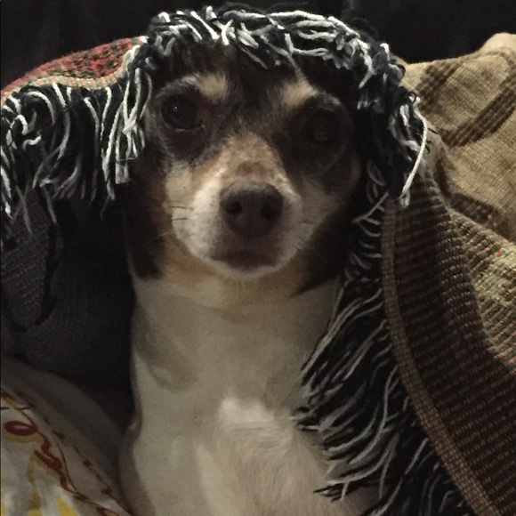 Meet your Posher, Chris - Picture 14 of 16